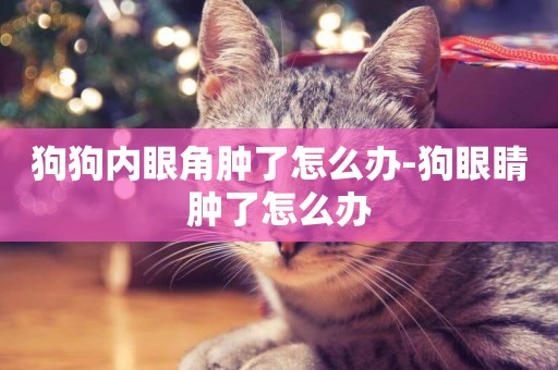 狗狗内眼角肿了怎么办-狗眼睛肿了怎么办